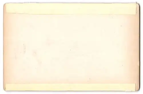 Fotografie Zedler & Vogel, Darmstadt, Ansicht Bremen, Gerichtsgebäude mit Gustav Adolf Denkmal