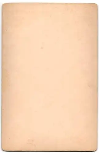 Fotografie C. Stichaner, Ulm, Ansicht Ulm / Donau, Ulmer Münster, Kathedrale um 1889