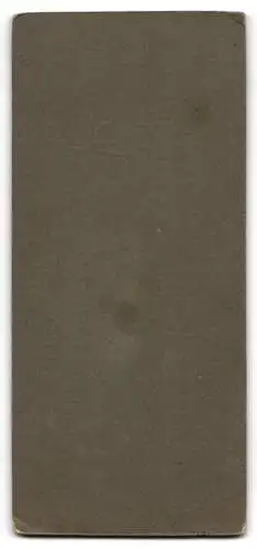 Fotografie Carl Lillack, Frankfurt / Oder, Soldat in Uniform des Freikorps