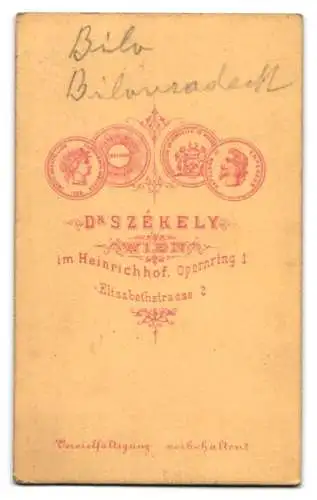 Fotografie Dr. Szekely, Wien, Schauspielerin Bilo im Kleid mit Hut samt Blumen
