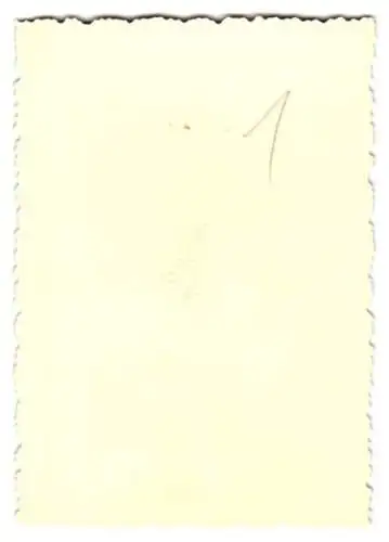 19 Fotografien IWL SR 59 Berlin, Motoroller der Ludwigsfelder Firma in Detailansichten