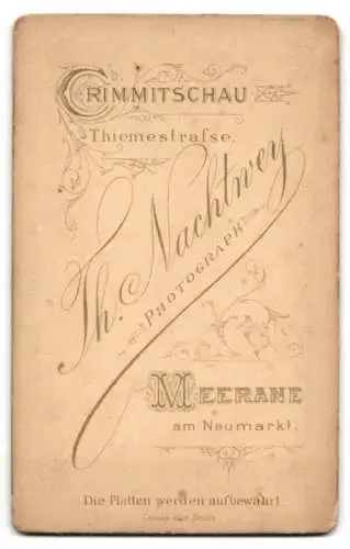 Fotografie Th. Nachtwey, Crimmitschau, Thiemestrasse, Porträt eines jungen Mannes