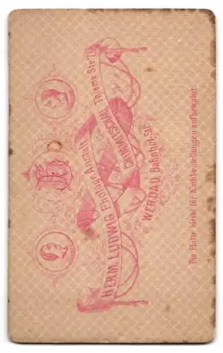 Fotografie H. Ludwig, Crimmitschau, Thieme Strasse, Stehende Dame mit Brille