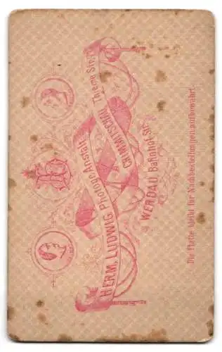Fotografie H. Ludwig, Crimmitschau, Thieme Strasse 73, Porträt eines jungen Mannes