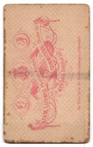 Fotografie H. Ludwig, Crimmitschau, Thieme Strasse 73, Porträt eines Jungen