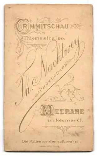 Fotografie Th. Nachtwey, Meerane, am Neumarkt, Elegante Dame mit Büchern