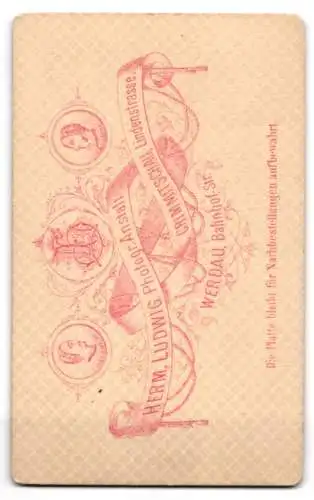 Fotografie H. Ludwig, Crimmitschau, Lindengasse, Frau in eleganter Garderobe