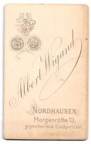 Fotografie Albert Wigand, Nordhausen, Morgenröthe 13, Porträt eines Jungen in Anzug mit Hut