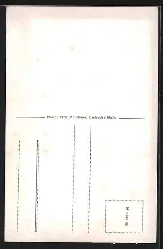 AK Breisach am Rhein / Baden, Teilansicht, Tulla-Turm, Jäger-Denkmal