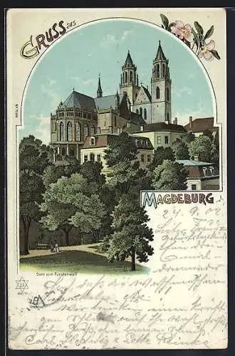 Lithographie Magdeburg, Dom vom Fürstenwall gesehen