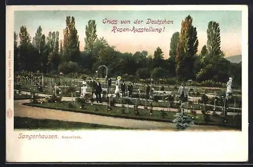 AK Sangerhausen, Partie aus dem Rosarium