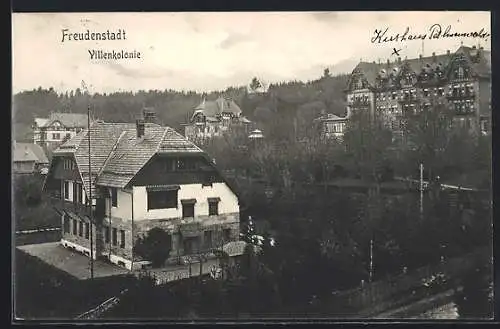 AK Freudenstadt, Gesamtansicht der Villenkolonie