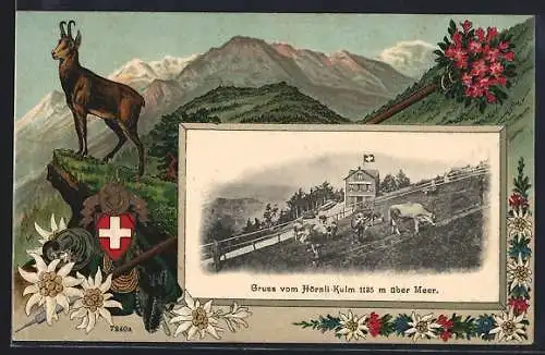 Lithographie Fischenthal /ZH, Hörnli-Kulm, Hotel mit Kühen, Gams auf einem Felsen, Passepartout