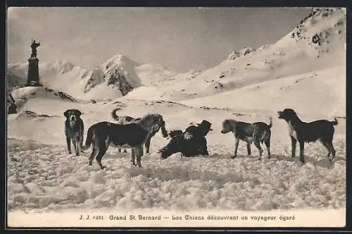 AK Grand St. Bernard, Ansicht eines im Schnee liegenden Mannes von Bernhardinern umringt