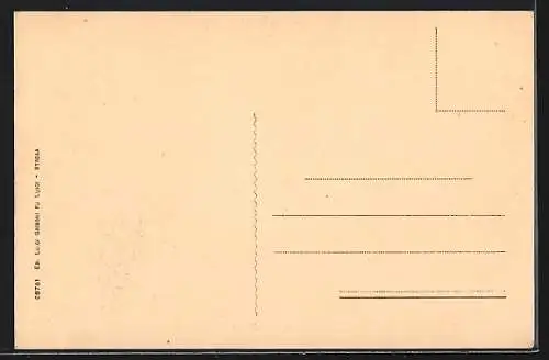 AK Stresa /Lago Maggiore, Panorama