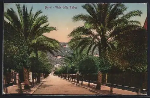 AK Nervi, Viale della Palme