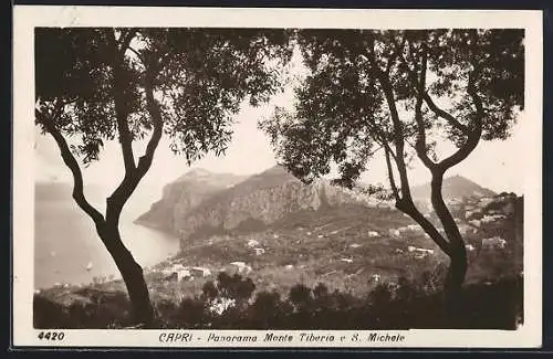 AK Capri, Panorama Monte Tiberio e S. Michele