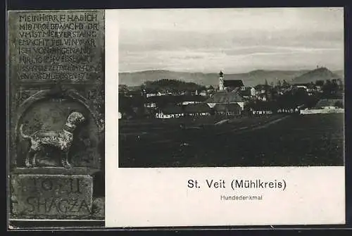 AK St. Veit /Mühlkreis, Ortsansicht und Hundedenkmal