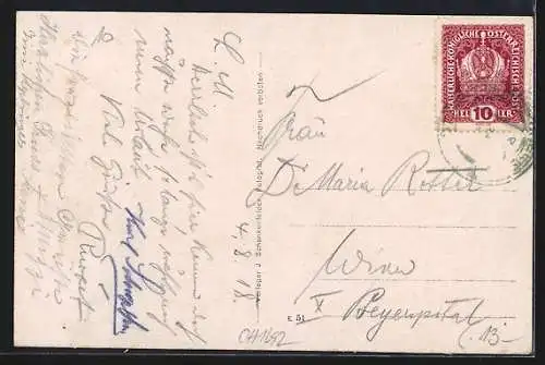 AK St. Veit /Mühlkreis, Ortsansicht und Hundedenkmal
