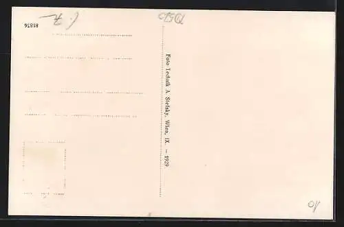 AK St. Veit im Mühlkreis, Totalansicht