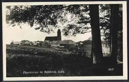 AK Pfarrkirchen im Mühlkreis, Blick auf den Ort