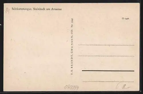 AK Steinbach am Attersee, Ortsansicht mit Umgebung