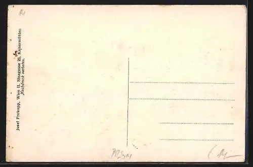AK Weyregg am Attersee, Ortsansicht mit See und Bergen