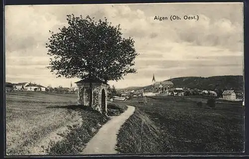 AK Aigen /Ob. Oest., Ortsansicht mit Feldweg