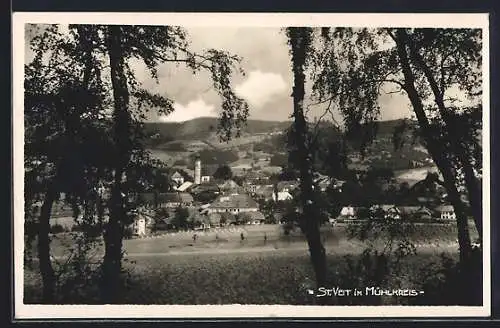 AK St. Veit im Mühlkreis, Blick auf den Ort