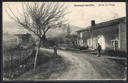 AK Barisey-la-Côte, Entrée du village avec chemin rural et maisons rustiques