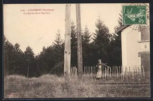 AK Colombey, Les Sapins de la Barrière