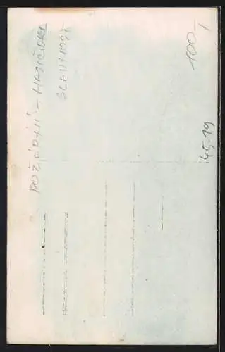 Foto-AK Turnerinnen und Turner in Formation auf Leitern