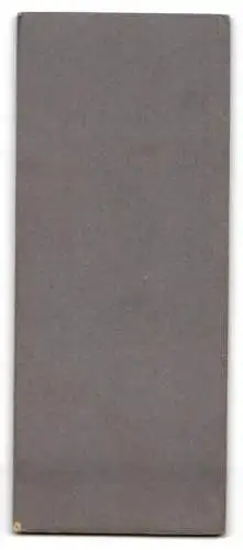 Fotografie M. Albert, Augsburg, Jesuitengasse, Porträt eines jungen Mädchens in festlicher Kleidung