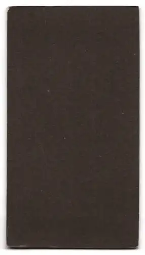 Fotografie G. Jessen, Delmenhorst, Louisenstrasse, Frau in elegantem weissen Kleid