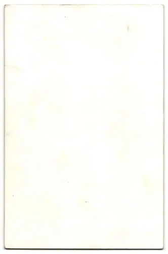 Fotografie Pardee, Brooklyn, Fulton Ave., Porträt einer jungen Frau
