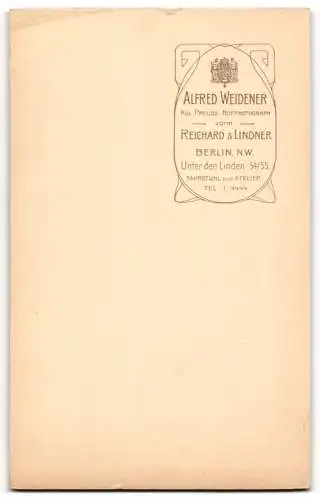 Fotografie Alfred Weidener, Berlin, Unter den Linden 54 /55, Porträt eines jungen Mädchens mit Schleife