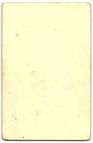 Fotografie Atelier Düll, München, Blütenstrasse 21, Porträt einer Frau in eleganter Kleidung