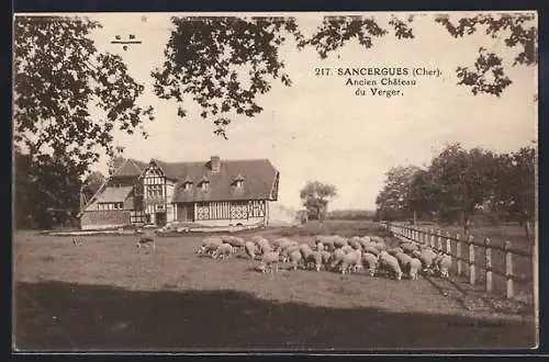 AK Sancergues, Ancien Château du Verger avec troupeau de moutons