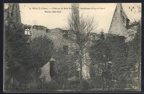 AK Vorly, Château de Bois-Sire-Amé, Résidence d`Agnès Sorel, Ruines côté Sud