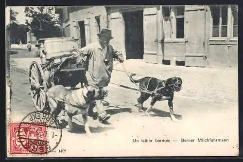 AK Bern, Milchfuhrmann mit Hundegespann