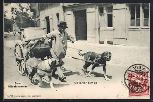 AK Bern, Milchfuhrmann mit seinem Hundegespann