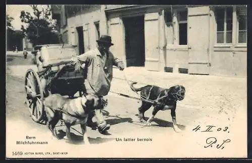 AK Bern, Milchfuhrmann mit Hundegespann