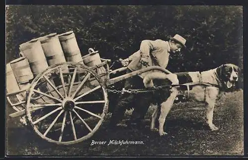 AK Bern, Berner Milchfuhrmann mit Hundegespann