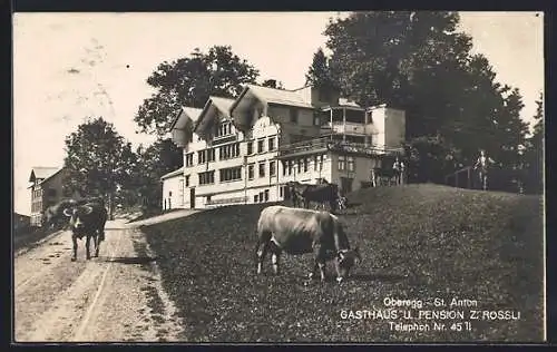 AK Oberegg-St. Anton, Gasthaus und Pension zum Rössli mit Rindern