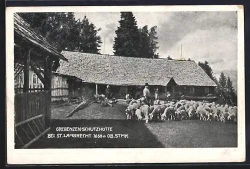 AK St. Lambrecht, Schafherde vor der Grebenzen-Schutzhütte