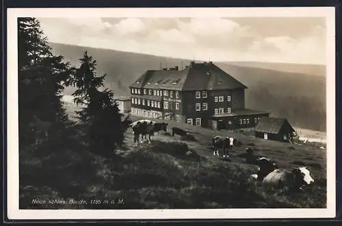 AK Neue Schlesische Baude im Riesengebirge