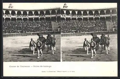 Stereo-AK Course de Taureaux, Mules de trainage