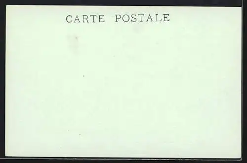 Stereo-AK Les Pyrénées, Un attelage Béarnais