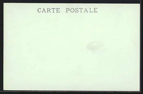 Stereo-AK Pau, La Facade du Château