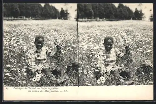 Stereo-AK Amérique du Nord, Scène enfantine au milieu des Marguerites